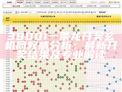 双彩今天开奖记录查询，创新性计划解析及独家分析