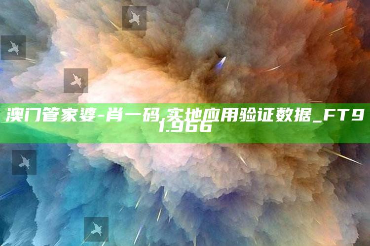 澳门王中王100%的资料，澳门管家婆-肖一码,实地应用验证数据_FT91.966