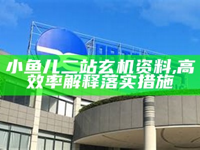 小鱼儿二站玄机资料, 高效率解释落实措施