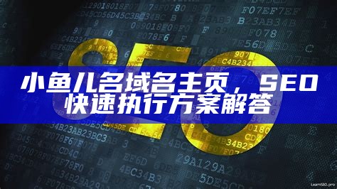 小鱼儿名域名主页，SEO快速执行方案解答