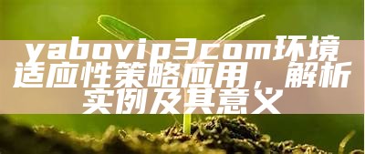 yabovip3com环境适应性策略应用，解析实例及其意义