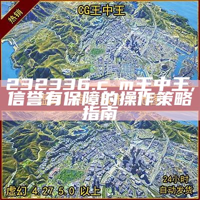 232336.cσm王中王,信誉有保障的操作策略指南