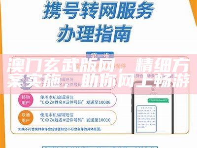 澳门玄武版网，精细方案实施，助你网上畅游