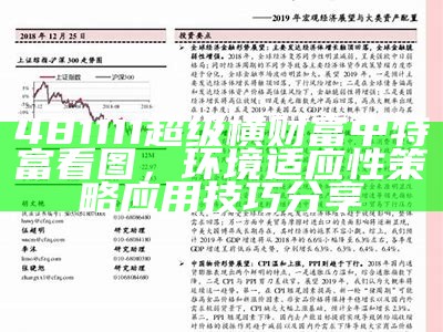 481111超级横财富中特富看图，环境适应性策略应用技巧分享