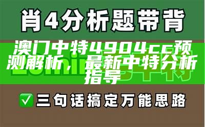 澳门中特4904cc预测解析，最新中特分析指导