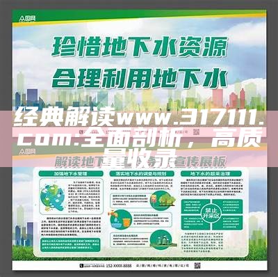 经典解读www.317111.com:全面剖析，高质量收录