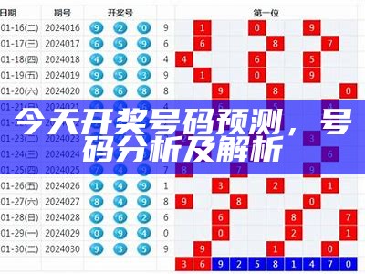 今天开奖号码预测，号码分析及解析