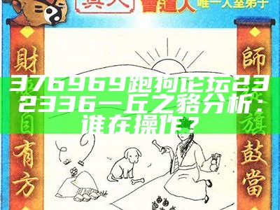 《新一代跑狗网：解决1000000人需求的全方位解读与实施方案》