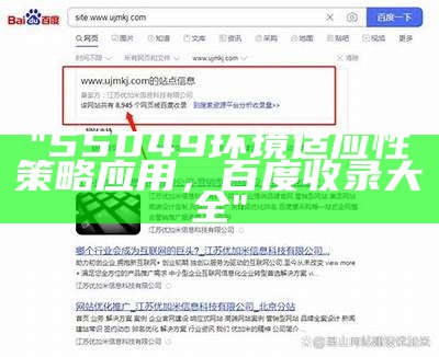 澳门码王效率资料解释，百度收录落实策略