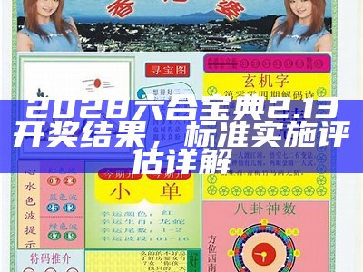 2028六合宝典2.13开奖结果，标准实施评估详解