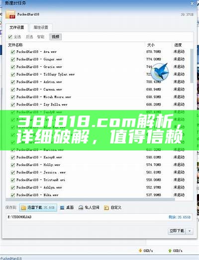 381818.com解析，详细破解，值得信赖