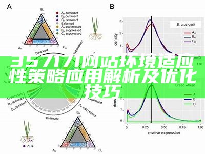 357171网站环境适应性策略应用解析及优化技巧