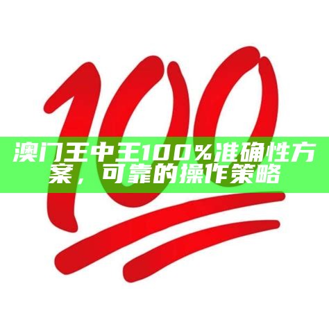 澳门一肖一码100%准确解析，详细解释及实例说明