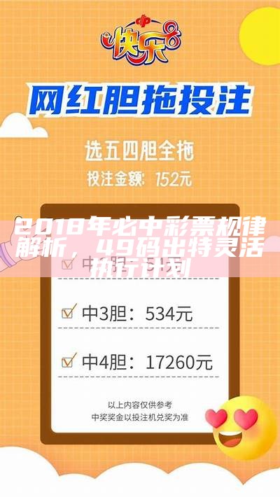 2018年必中彩票规律解析，49码出特灵活执行计划