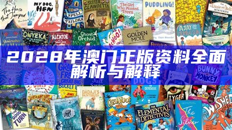 2028年澳门正版资料全面解析与解释