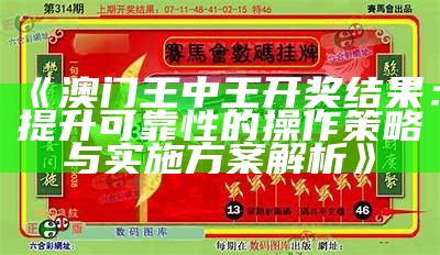 《澳门王中王开奖结果：提升可靠性的操作策略与实施方案解析》