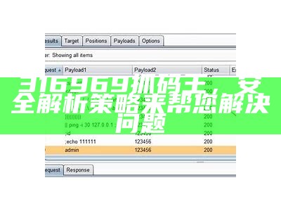 316969抓码王，安全解析策略来帮您解决问题