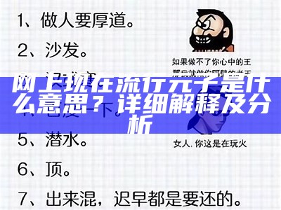 网上现在流行元子是什么意思？详细解释及分析