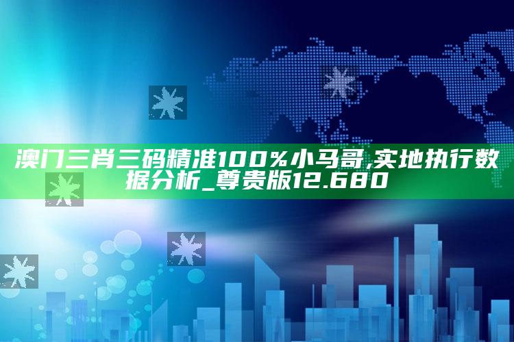 626969澳门精准资料2021期，澳门三肖三码精准100%小马哥,实地执行数据分析_尊贵版12.680