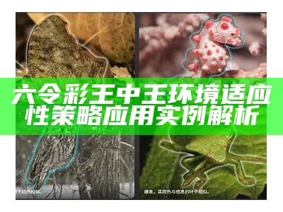 六令彩王中王环境适应性策略应用实例解析