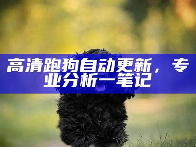 高清跑狗自动更新，专业分析一笔记