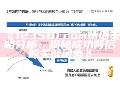 《123501.com精细策略分析：揭秘成功背后的关键因素》