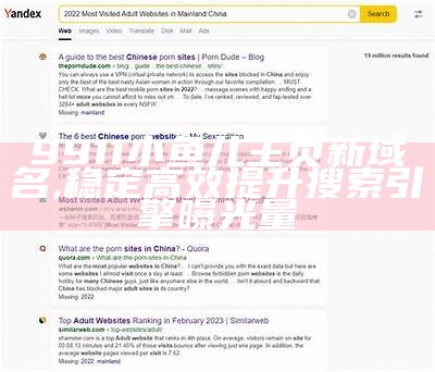 9911小鱼儿主页新域名,稳定高效提升搜索引擎曝光量