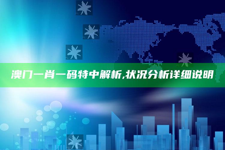 2025澳门资料免费看，澳门一肖一码特中解析,状况分析详细说明