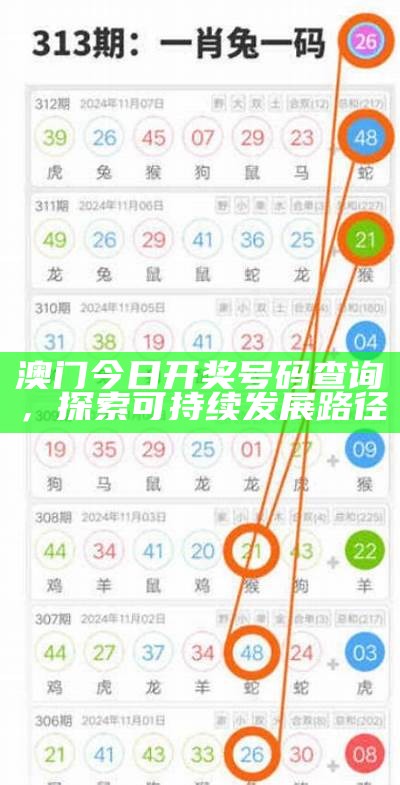 2021澳门今晚最新开奖,精选解释解析落实及时公布