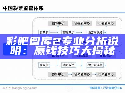 彩吧图库2专业分析说明：赢钱技巧大揭秘