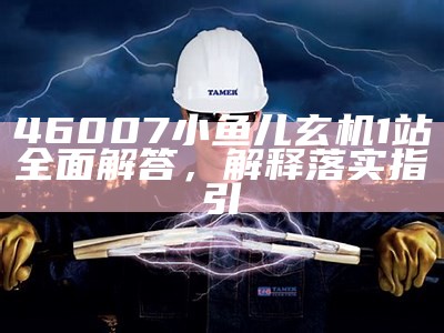 46007小鱼儿玄机1站全面解答，解释落实指引