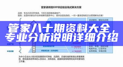 2024管家婆免费资料使用方法及快速执行计划